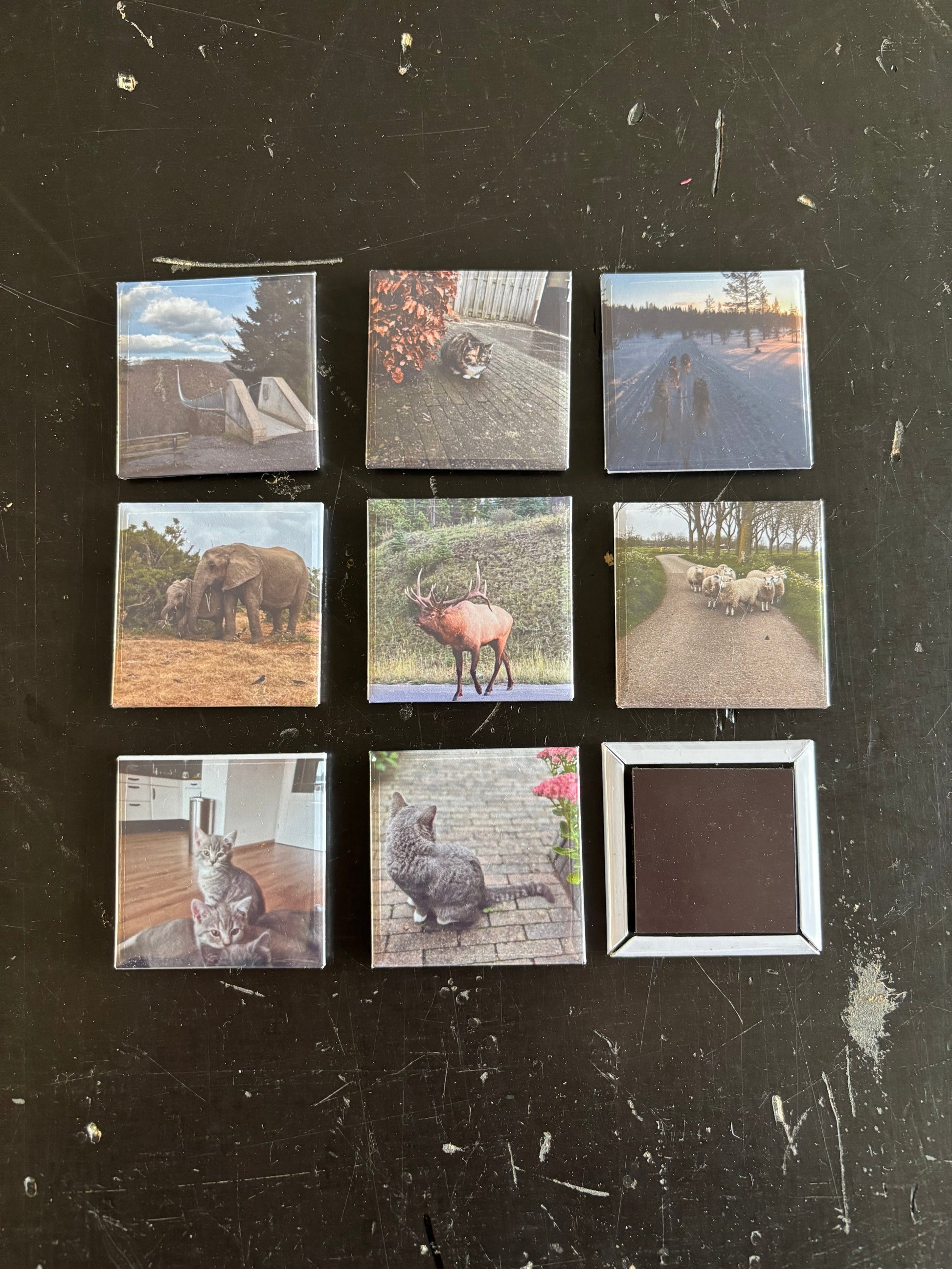 Foto magneten 5x5cm ByMVcrafts