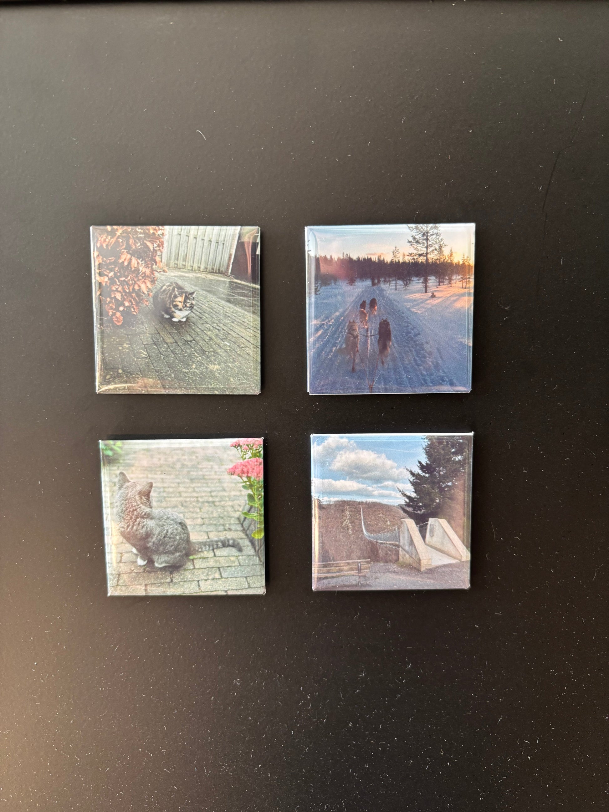 Fotomagneet set van 4 ByMVcrafts
