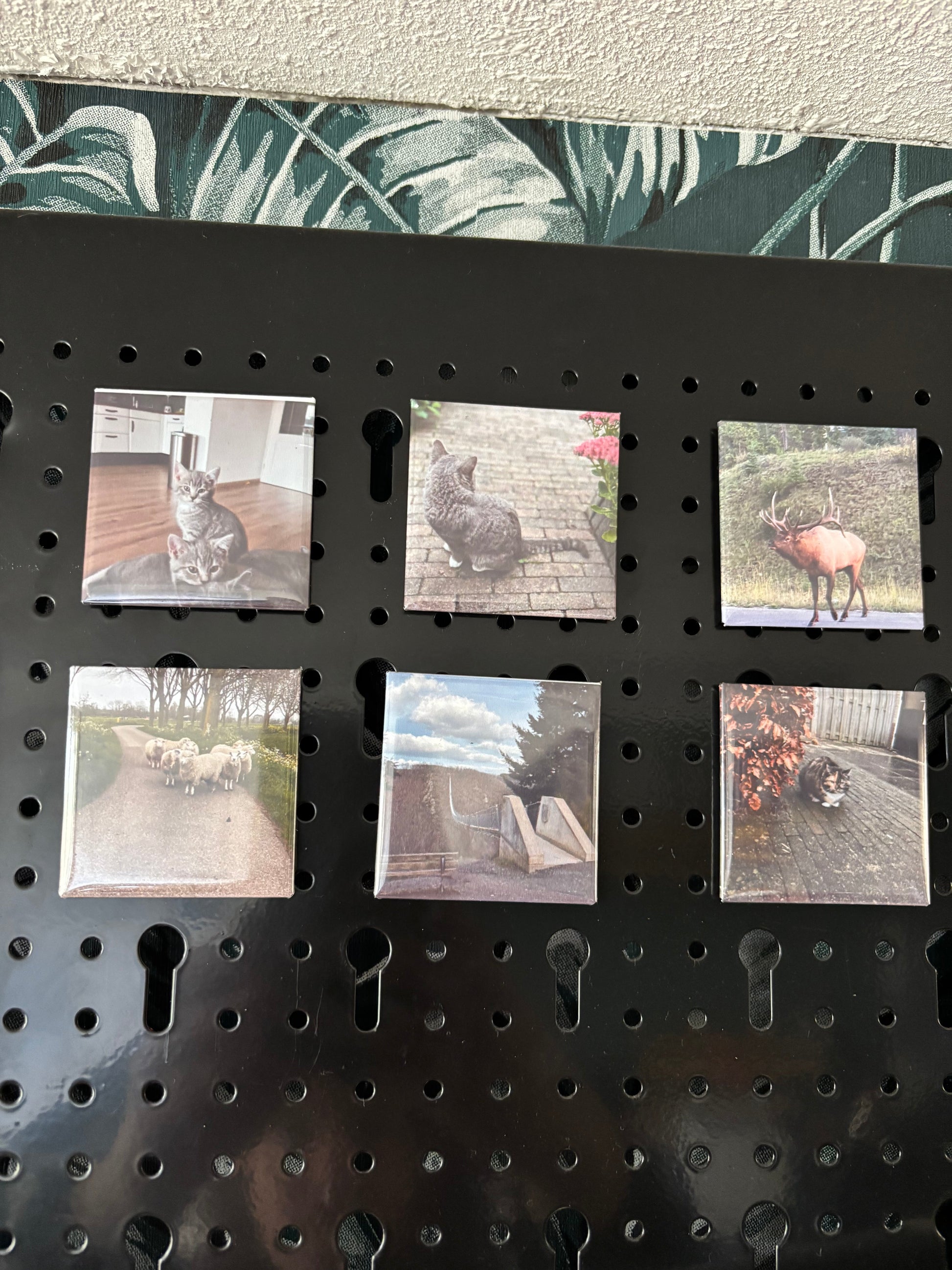 Foto magneten 5x5cm ByMVcrafts