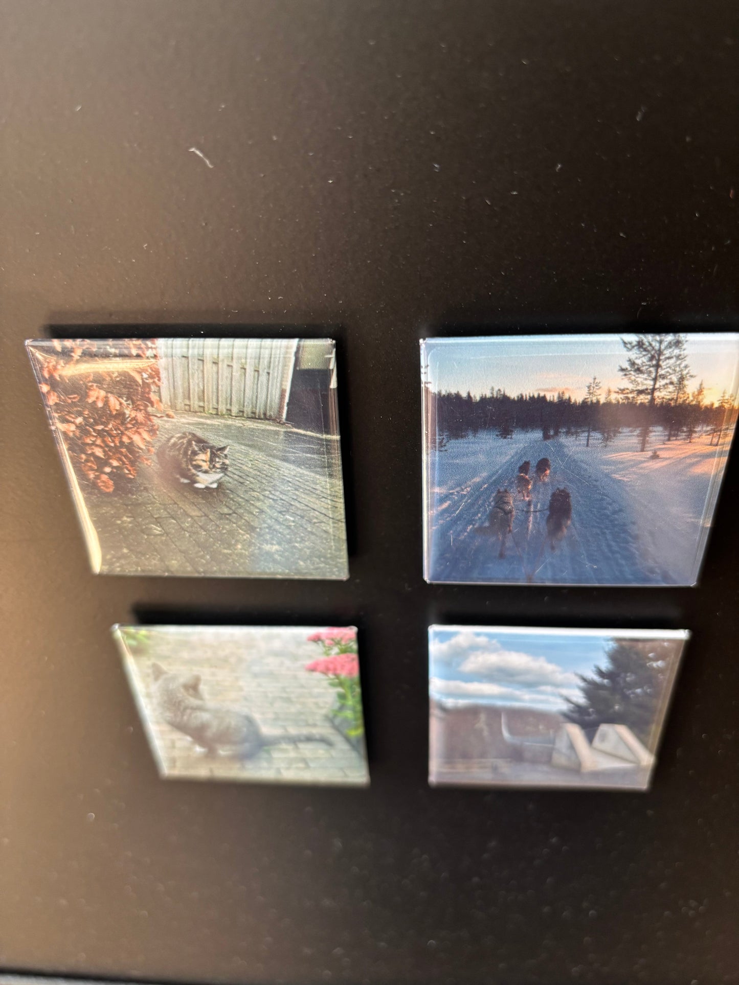 Fotomagneet set van 4 ByMVcrafts