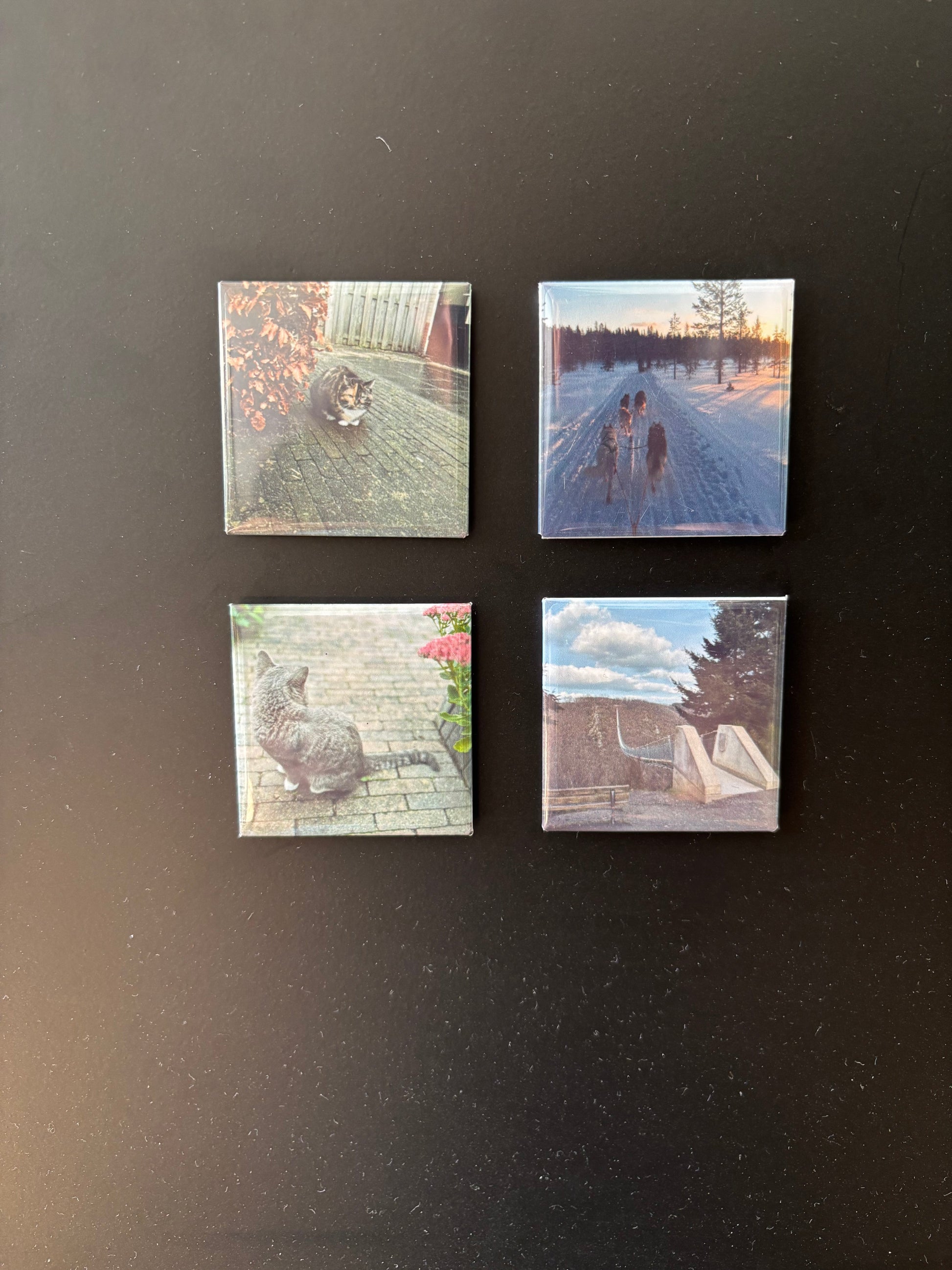 Fotomagneet set van 4 ByMVcrafts